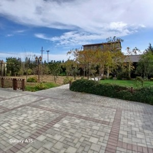 image 367291