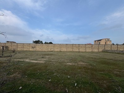 image 367292