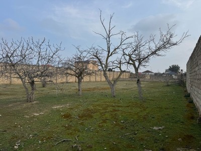 image 367292