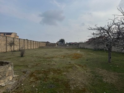 image 367292