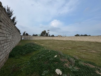 image 367293