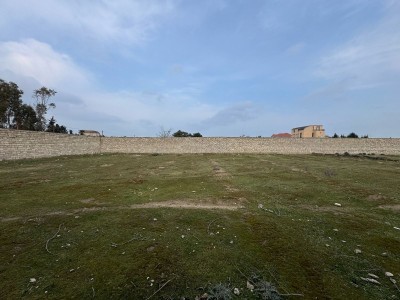 image 367293