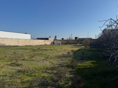 image 367354