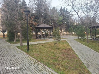 image 367407