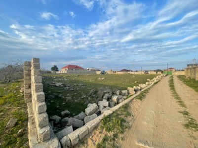 image 367431