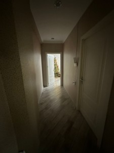 image 367617