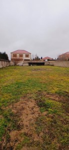image 367619