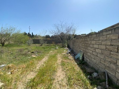 image 367792