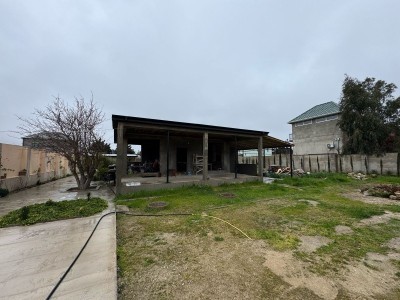 image 367835