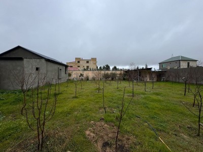 image 367835