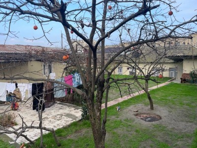 image 367940