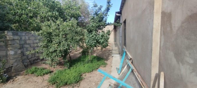 image 368039