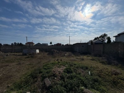 image 368057