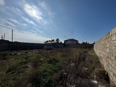 image 368057
