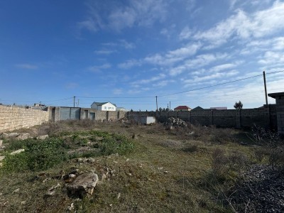 image 368057