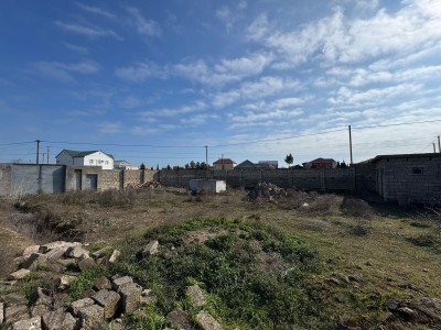 image 368057