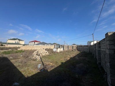 image 368057