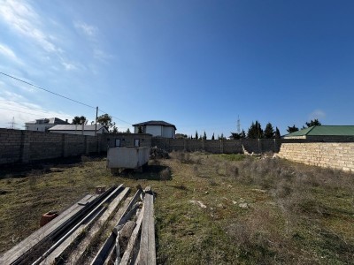 image 368057
