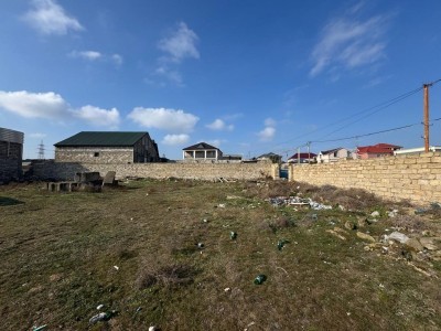 image 368063