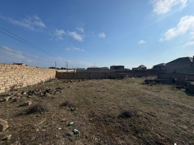 image 368063