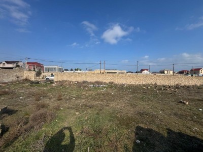 image 368063