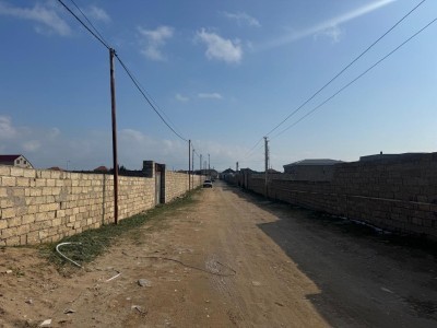 image 368063