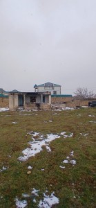 image 368186