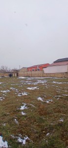 image 368186