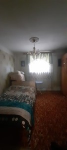 image 368257
