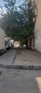 image 368257