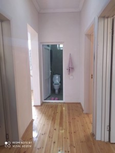 image 368288