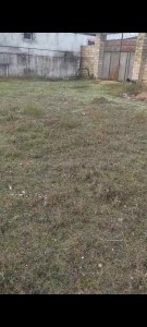 image 368519