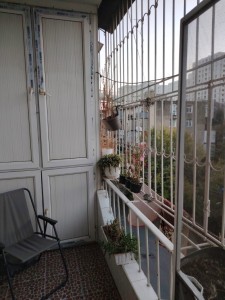 image 368538