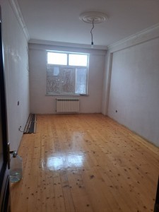 image 368555