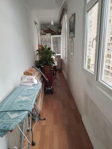 image 368559
