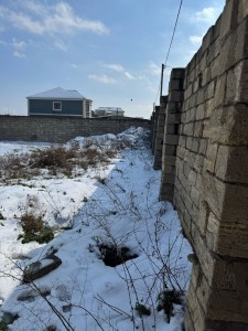 image 368652