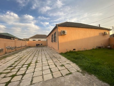 image 368663