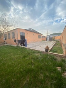 image 368663