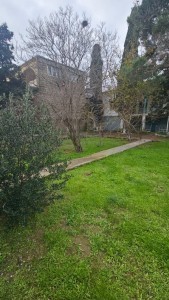 image 368955
