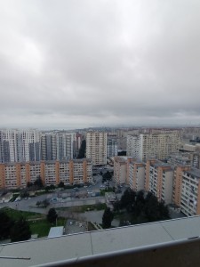 image 369175