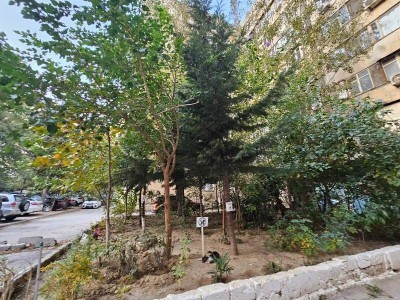 image 369284