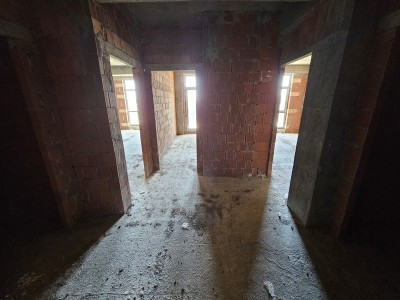 image 369357