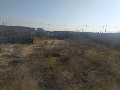 image 369560