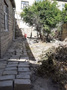 image 369688
