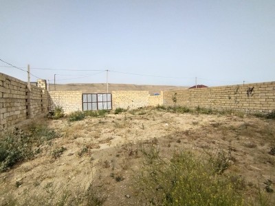 image 369729