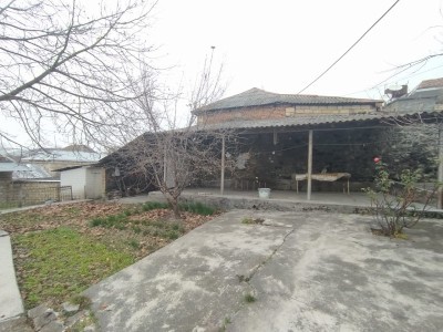 image 369735