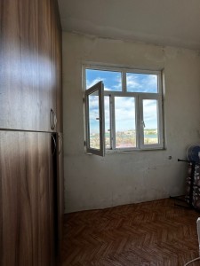 image 369736