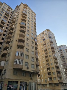 image 369824
