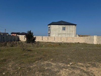 image 369876