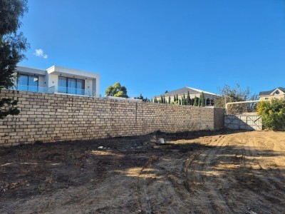 image 370049